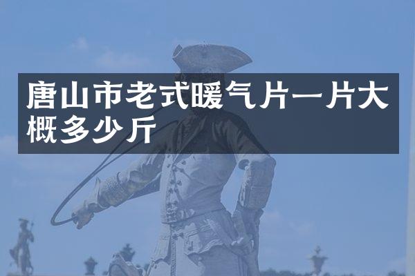 唐山市老式暖气片一片大概多少斤