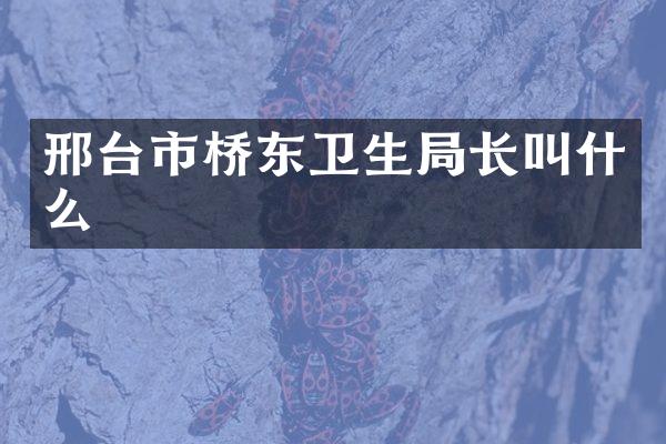 邢台市桥东卫生局长叫什么
