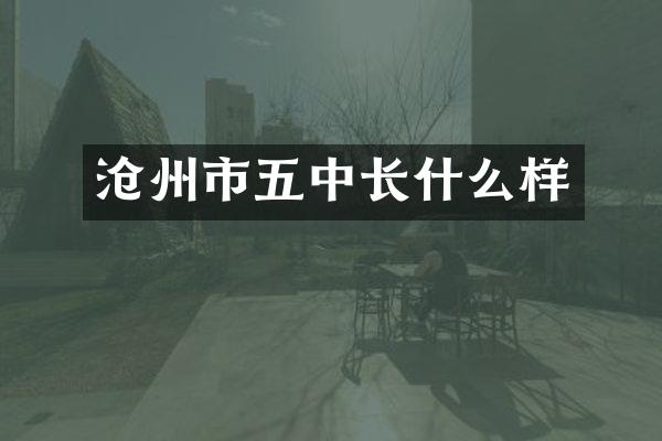 沧州市五中长什么样