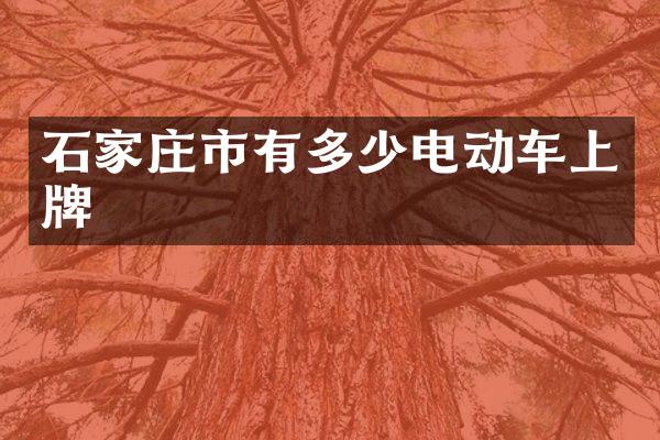 石家庄市有多少电动车上牌