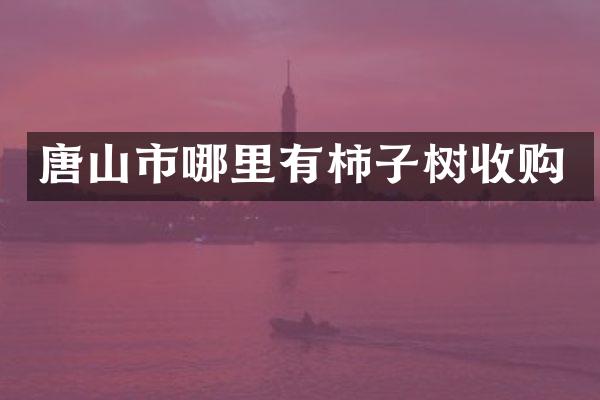 唐山市哪里有柿子树收购