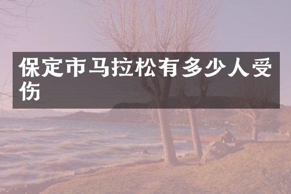 保定市马拉松有多少人受伤