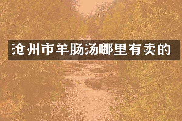 沧州市羊肠汤哪里有卖的