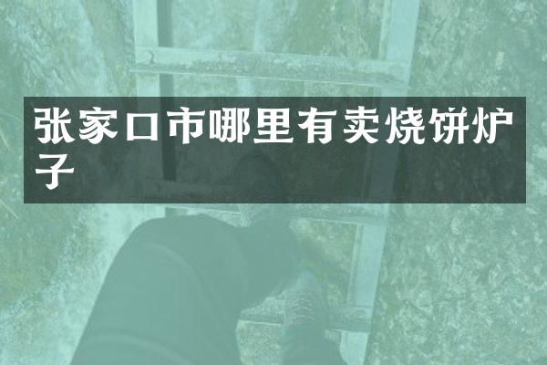 张家口市哪里有卖烧饼炉子