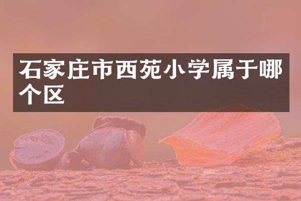 石家庄市西苑小学属于哪个区