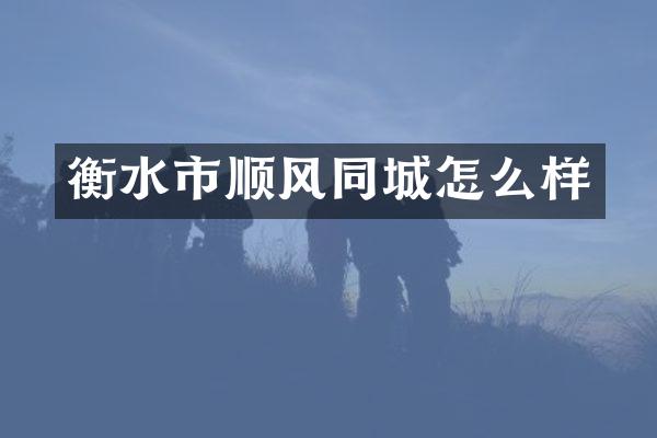 衡水市顺风同城怎么样