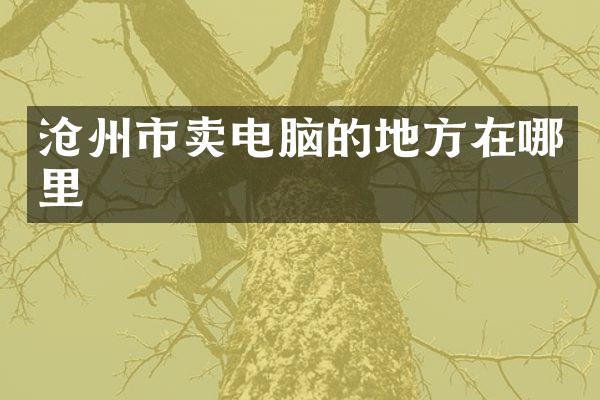 沧州市卖电脑的地方在哪里