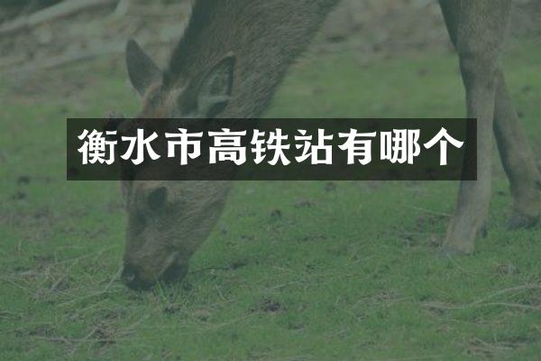 衡水市高铁站有哪个