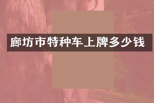 廊坊市特种车上牌多少钱