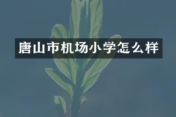 唐山市机场小学怎么样