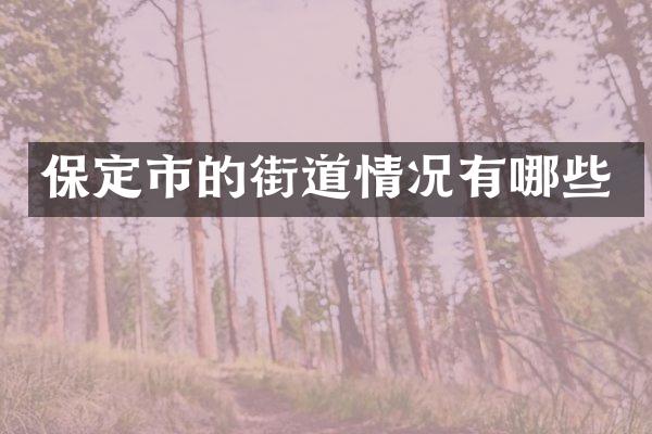 保定市的街道情况有哪些