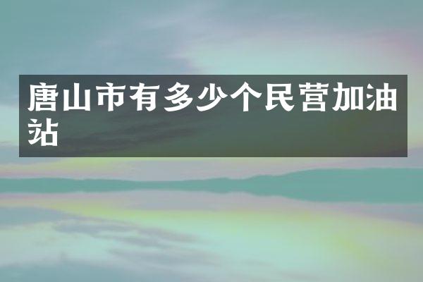 唐山市有多少个民营加油站