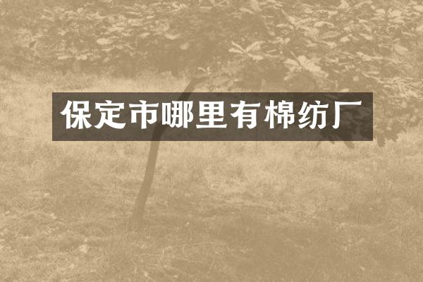 保定市哪里有棉纺厂