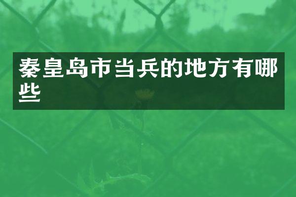 秦皇岛市当兵的地方有哪些