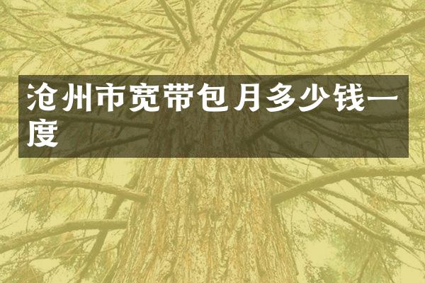 沧州市宽带包月多少钱一度