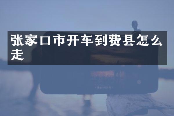 张家口市开车到费县怎么走