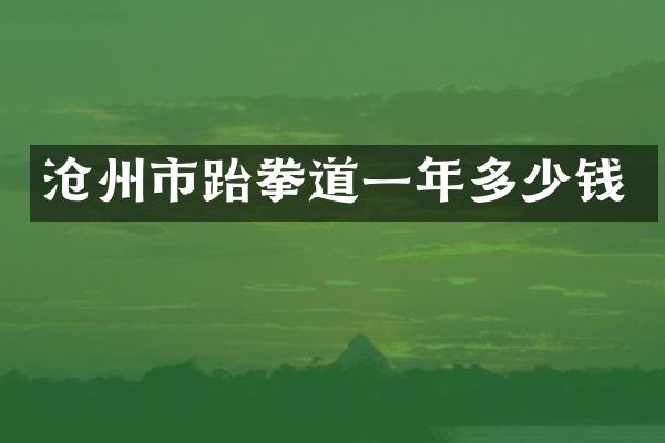 沧州市跆拳道一年多少钱