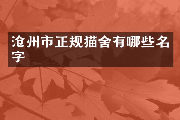 沧州市正规猫舍有哪些名字