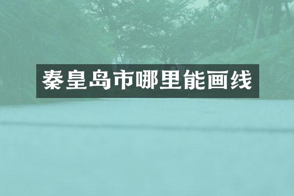 秦皇岛市哪里能画线