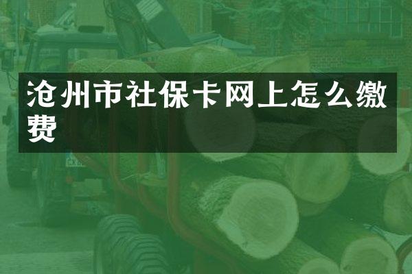 沧州市社保卡网上怎么缴费