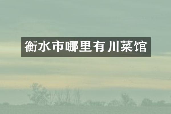 衡水市哪里有川菜馆