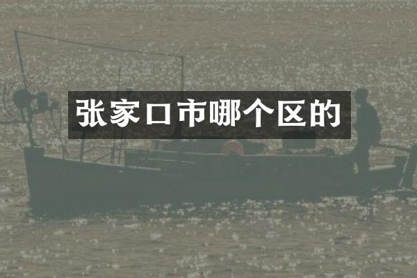 张家口市哪个区的