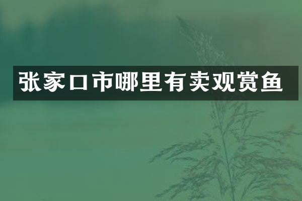 张家口市哪里有卖观赏鱼