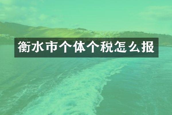 衡水市个体个税怎么报