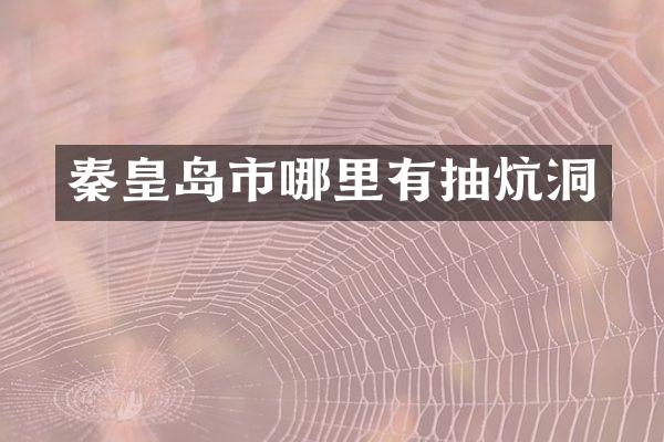 秦皇岛市哪里有抽炕洞