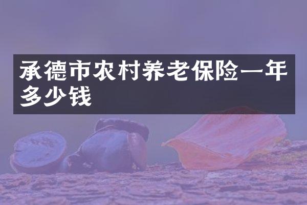承德市农村养老保险一年多少钱