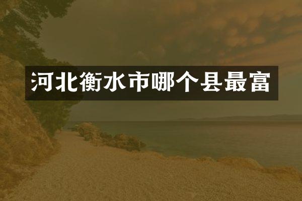 河北衡水市哪个县最富