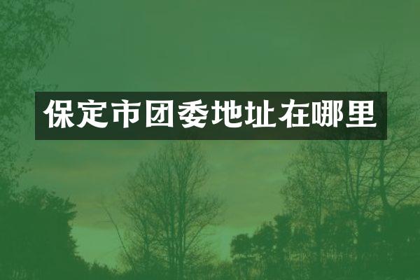 保定市团委地址在哪里