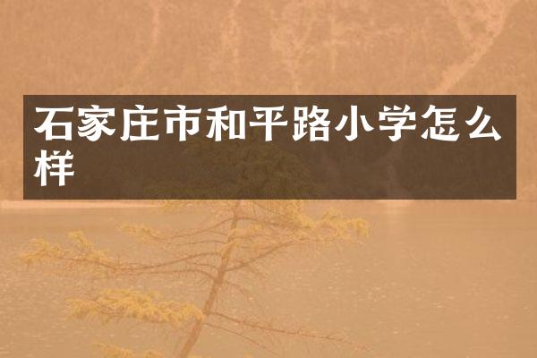 石家庄市和平路小学怎么样