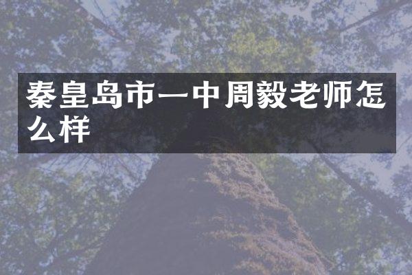 秦皇岛市一中周毅老师怎么样