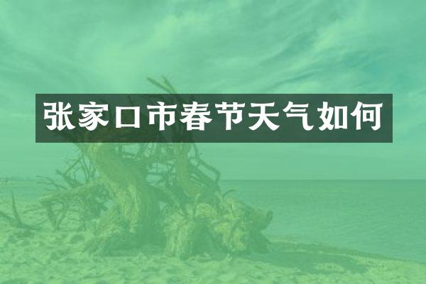 张家口市春节天气如何