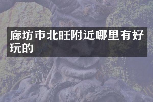 廊坊市北旺附近哪里有好玩的