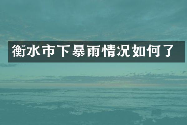 衡水市下暴雨情况如何了