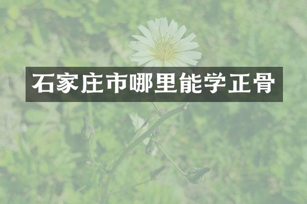 石家庄市哪里能学正骨