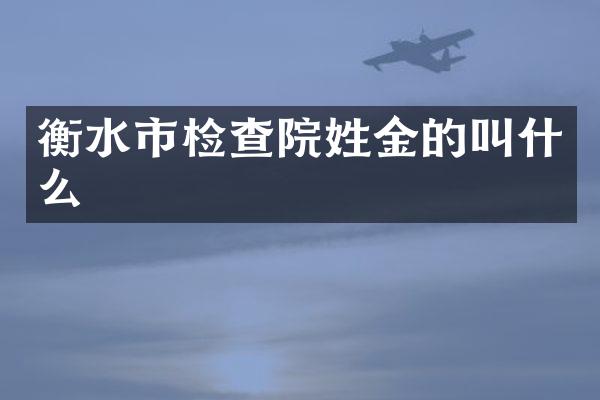 衡水市检查院姓金的叫什么
