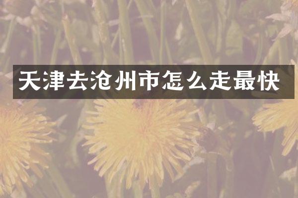 天津去沧州市怎么走最快
