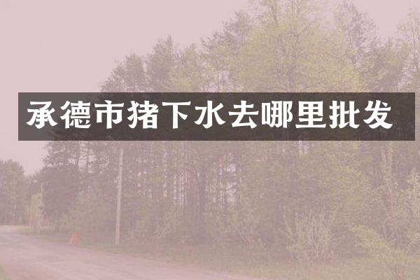 承德市猪下水去哪里批发