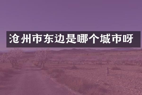 沧州市东边是哪个城市呀