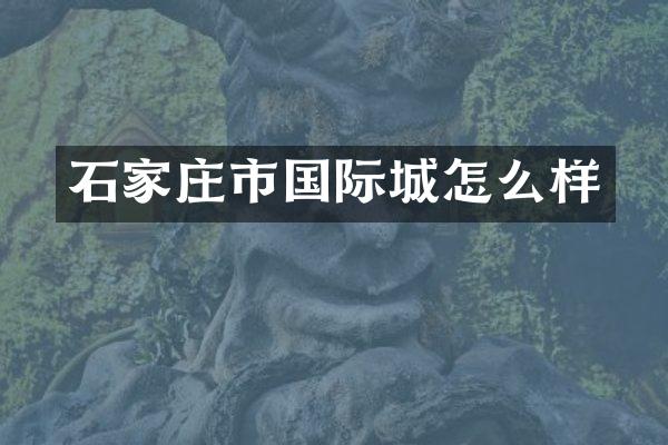 石家庄市国际城怎么样