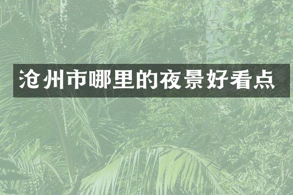 沧州市哪里的夜景好看点