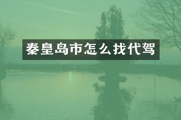 秦皇岛市怎么找代驾