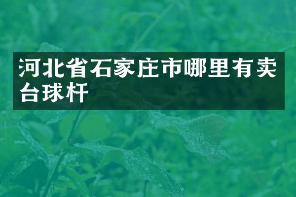 河北省石家庄市哪里有卖台球杆