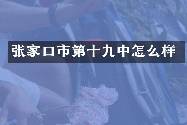 张家口市第十九中怎么样