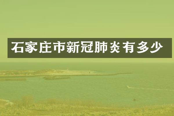 石家庄市新冠肺炎有多少