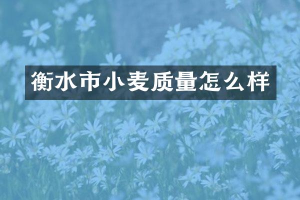 衡水市小麦质量怎么样