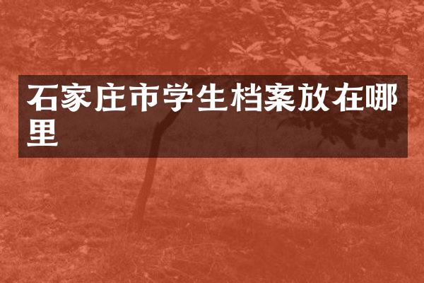 石家庄市学生档案放在哪里